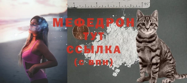 соль ск Горно-Алтайск