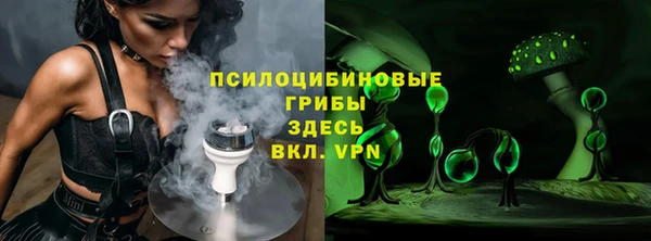 соль ск Горно-Алтайск