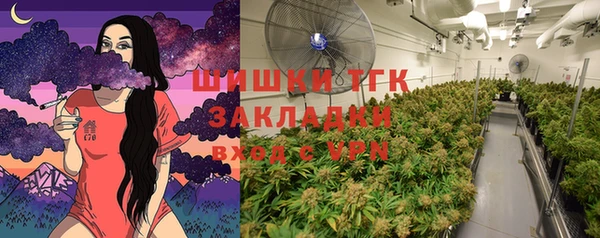 прущая мука Горняк