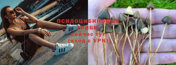 амф Горнозаводск